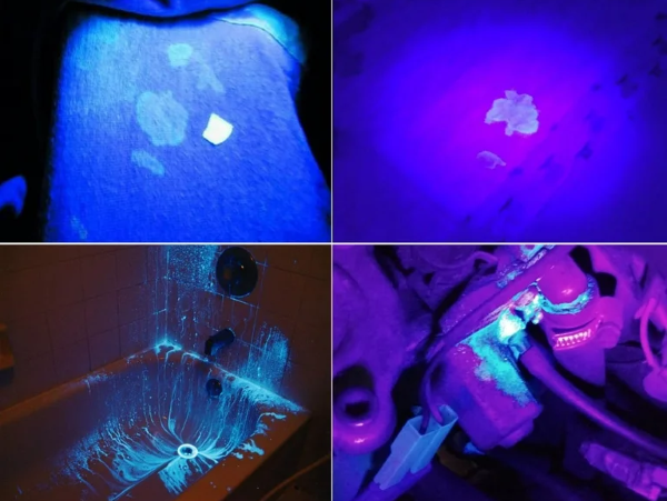 MNT-365紫外线手电能检测到血液吗